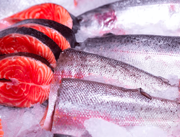 Fish & Meat - Frozen / Dried